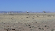 PICTURES/The Very Large Array Telescope - VLA/t_Antenna Array7.JPG